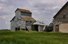 Griswold area farm
June 2006